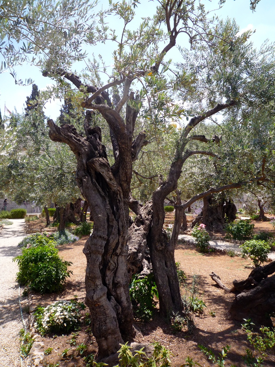 Gethsemane Wandel gestalten